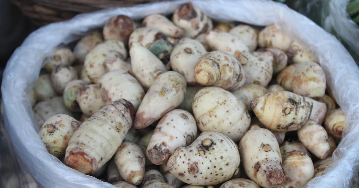 Malanga: el tubérculo tradicional latino que aporta fibra, minerales y energía estable