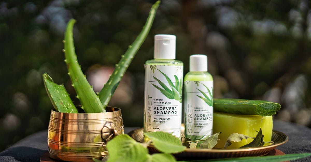 Tónico capilar casero: refuerza y revitaliza tu cabello de forma natural