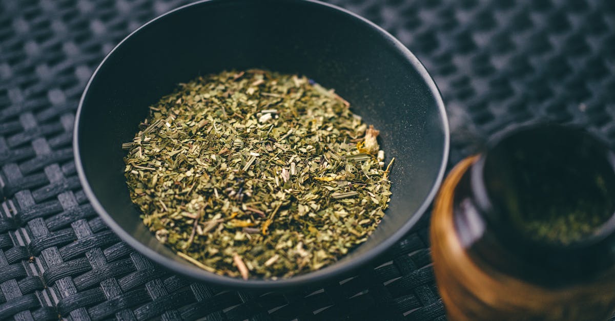 El poder de las plantas medicinales para tu bienestar diario