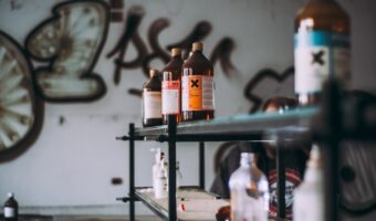 Estramonio: cómo identificar y evitar los riesgos de esta planta tóxica común en México y Latinoamérica