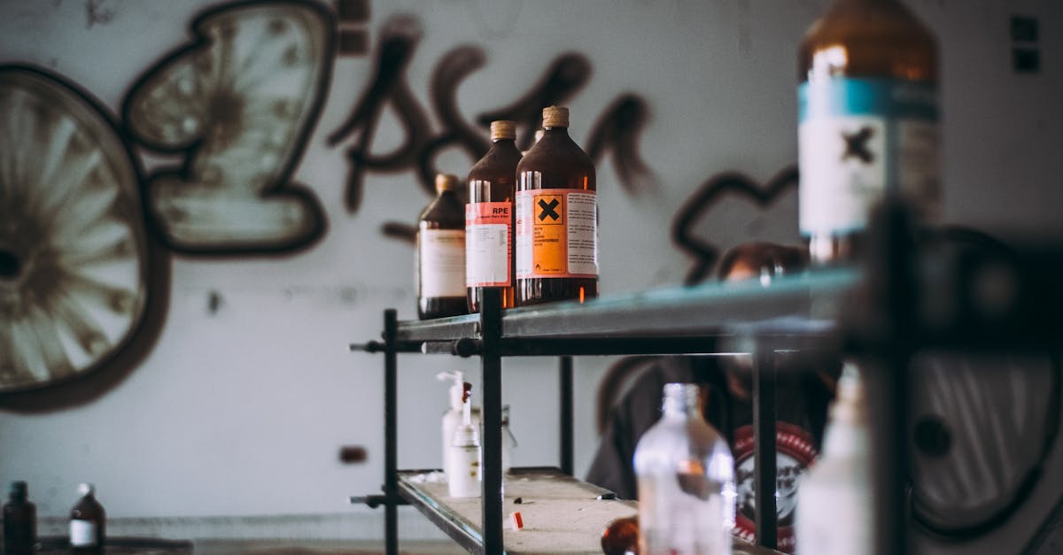 Estramonio: cómo identificar y evitar los riesgos de esta planta tóxica común en México y Latinoamérica