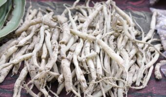 La raíz de bardana: la planta olvidada de tu jardín que puede aportar bienestar diario