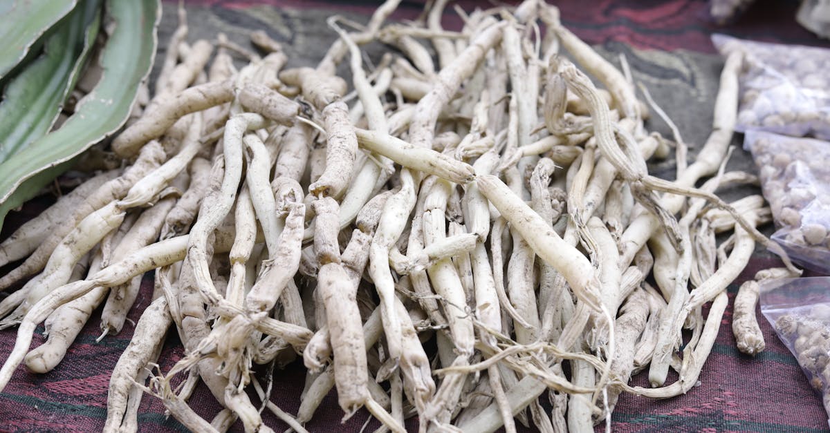 La raíz de bardana: la planta olvidada de tu jardín que puede aportar bienestar diario