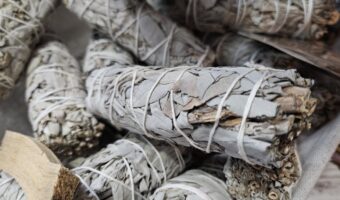 Salvia blanca: rituales ancestrales y bienestar en tu espacio diario