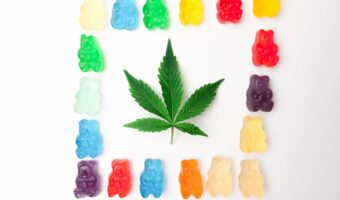 Descubre la Peperomia pellucida: la 'espinaca de agua' que podría estar creciendo en tu jardín