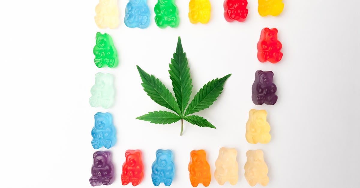 Descubre la Peperomia pellucida: la 'espinaca de agua' que podría estar creciendo en tu jardín