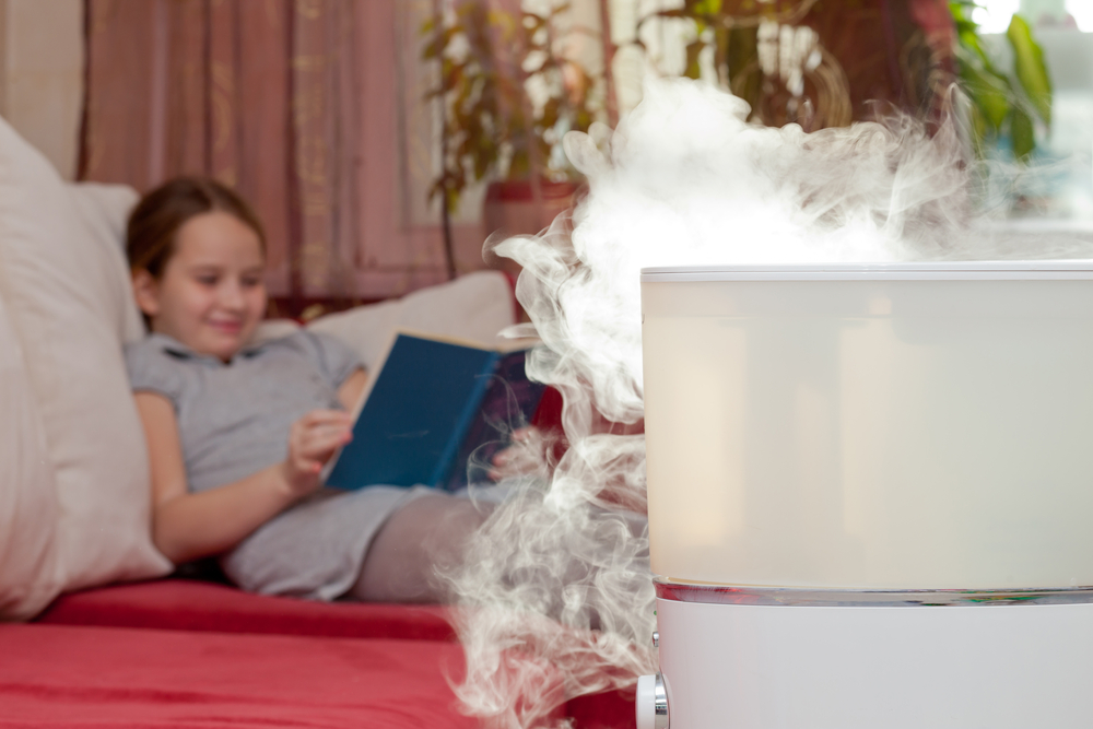 Essential Questions to Consider Before Choosing an Air Purifier for Your Home